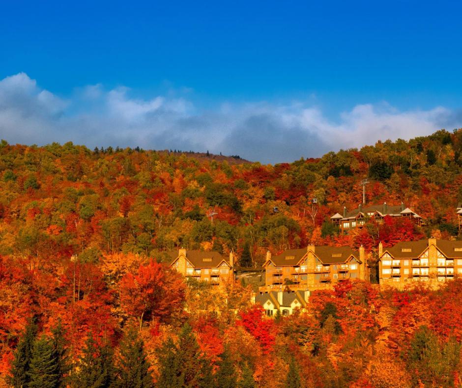 Altitude Ski Inout 3 Bdrs W Sauna And Hot Tub Mont-Tremblant Exterior foto